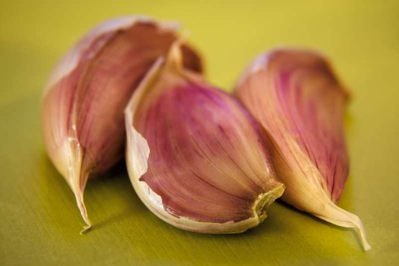 Garlic (macro)